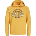 Jack & Jones Logo 2 Col Hættetrøje