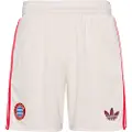 Adidas Fc Bayern Munich 3 Stripes 24/25 Third Shorts