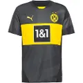 Puma Bvb Borrussia Dortmund 24/25 Væk T-shirt Med Korte ærmer