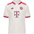 Adidas Fc Bayern Munich 3 Stripes 24/25 Third Junior T-shirt Med Korte ærmer