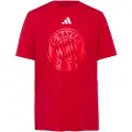 Adidas Fc Bayern Dna Graphic T-shirt Med Korte ærmer