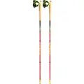 LEKI Ultratrail Fx One Spadserestokke
