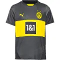 Puma Bvb Borrussia Dortmund 24/25 Væk T-shirt Med Korte ærmer