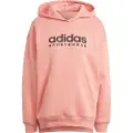 Adidas All Szn Fleece Graphic Hættetrøje