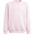 Adidas All Szn Graphic Sweatshirt