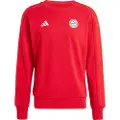 Adidas Fc Bayern Munich 24/25 Dna Sweatshirt
