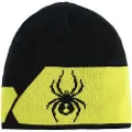 Spyder Shelby Beanie
