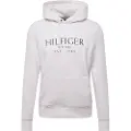 Tommy Hilfiger Big Hættetrøje