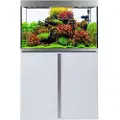 Fluval Siena 272l Møbel- Og Akvariesæt