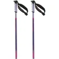 Salomon Arctic S3 Xl Spadserestokke