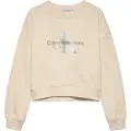 Calvin Klein Glitter Monologo Hættetrøje