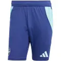 Adidas Arsenal Fc 24/25 Træning Shorts