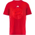 Adidas Fc Bayern Dna Graphic T-shirt Med Korte ærmer