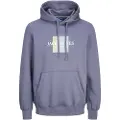 Jack & Jones Frederiksberg Box Hættetrøje