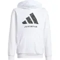 Adidas Juventus Hættetrøje