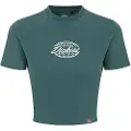 Dickies Globe T-shirt Med Korte ærmer