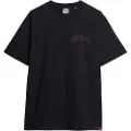 Superdry Tattoo Graphic Loose T-shirt Med Korte ærmer