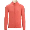 Icebreaker Zone Knit Zip Sweatshirt