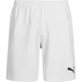 Puma Shorts Puma TEAMRISE SHORT barn 7 / 8 Jahre