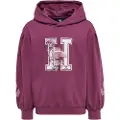 Hummel Astrology Hættetrøje