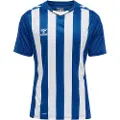 Hummel Core Xk Striped T-shirt Med Korte ærmer