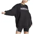 Adidas All Szn Fleece Graphic Sweatshirt