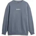 Superdry Micro Logo Graphic Loose Sweatshirt