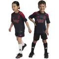 Adidas Benfica 24/25 Væk Junior Sæt