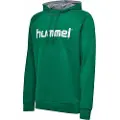 Hummel Go Cotton Logo Hættetrøje