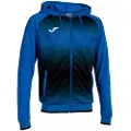 Joma Tiger V Sweatshirt Med Lynlås