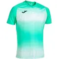 Joma Tiger V T-shirt Med Korte ærmer