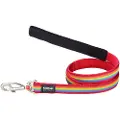 Red Dingo Rainbow Dog Hundesnor