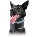 Kvp Bite Free Hundehalsbånd