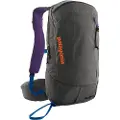 Patagonia Snowdrifter 20L Rygsæk grå