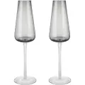 Blomus Champagneglas BELO, sæt med 2 stk, 200 ml, grå, Blomus