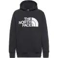 The North Face Tekno Logo Shred Hoodie sort