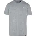 O'Neill Small Logo T-shirt grå