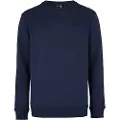 O'Neill Small Logo Sweatshirt