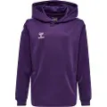 Hummel Core Xk Poly Hættetrøje