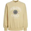 Jack & Jones Lucca Branding Sweatshirt
