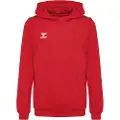 Hummel Authentic Pl Hættetrøje