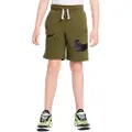 Nike Sportswear Swoosh Shorts