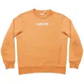 Levi's Unisex Graphic Crew Sweatshirt