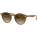 Ocean Sunglasses Queens Polariserede Solbriller