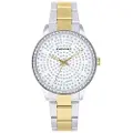 Radiant Eclipse 38 Mm Dameur