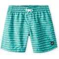 O'Neill All Year 14´´ Badeshorts