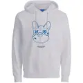 Jack & Jones Orpal Hættetrøje