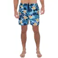 Hurley Cannonball Volley 17´´ Badeshorts