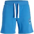Jack & Jones Jpstandy Sports Shorts