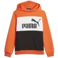 Puma Ess Block Fl Hættetrøje